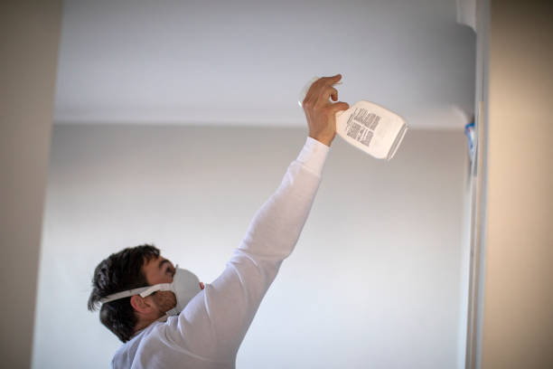 Best Industrial Mold Remediation in Carteret, NJ