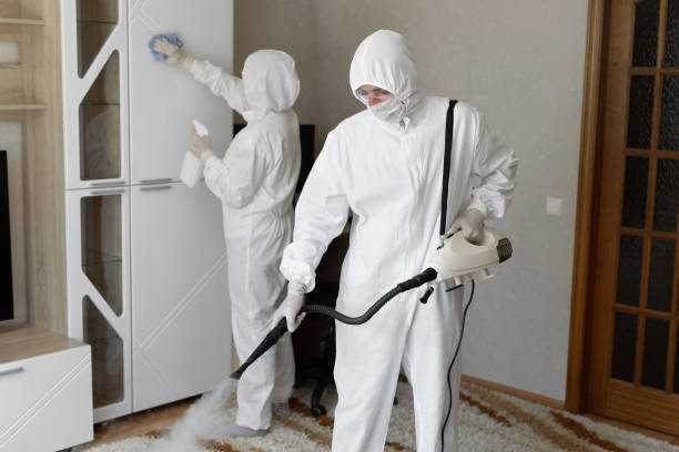 Best Post-Flood Mold Remediation in Carteret, NJ