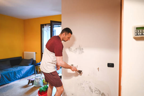 Best Health and Safety Mold Remediation in Carteret, NJ